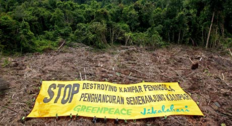 holding out the banner in the Kampar peninsula © Greenpeace/Novis